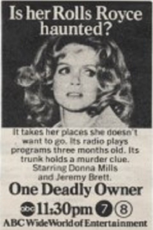 Постер One Deadly Owner